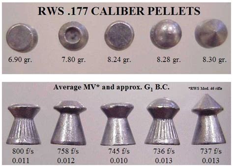 How To Choose Right Air Rifle Pellets Best Air Rifle Reviews