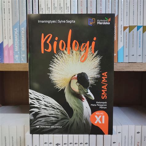 Buku Biologi Kelas 11/2 SMA Kurikulum Merdeka Erlangga Irnaningtyas