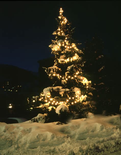 Snowy Christmas Lights