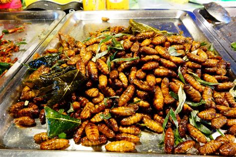 Insectes Koh Samui Thaïlande Samui Street Food Green Beans Shrimp
