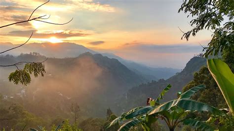 The Beauty Of Sri Lanka 🌴 ️mavic Pro Drone 4k 🌴 Youtube