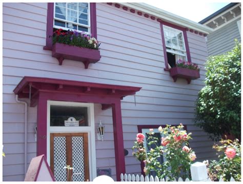 Lavender House Spotted On A Day Trip To Akaroa Near Christchurch New