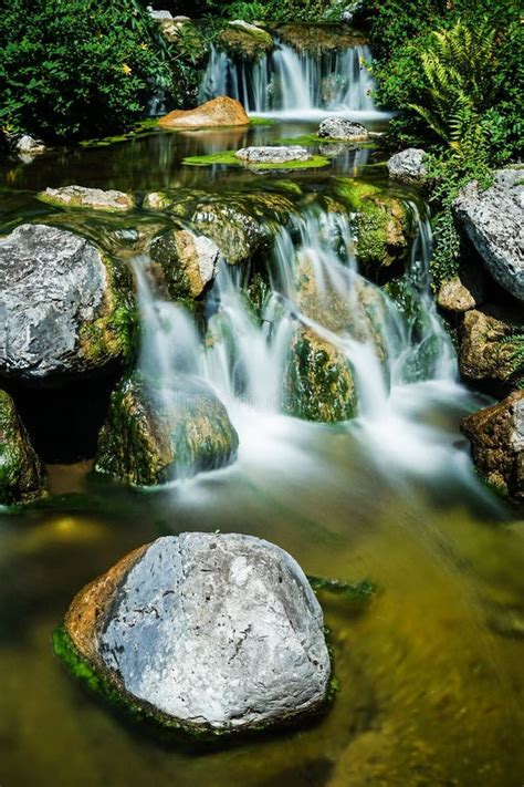 Mountain Creek With Waterfall Stock Photo Image Of Stream Flowing
