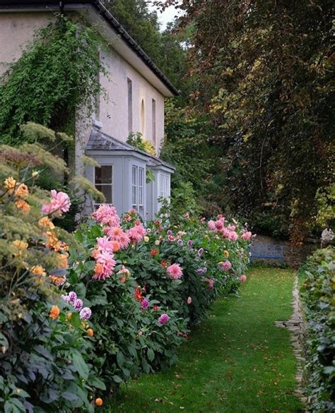 25 Attractive Front Yard Dahlia Garden Design For Your Dream House