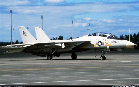 Grumman F 14b Tomcat Usa Navy Aviation Photo 4679983