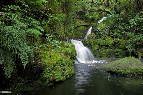 Waterfall In The Rainforest New Zealand High Res Stock Photo Getty Images
