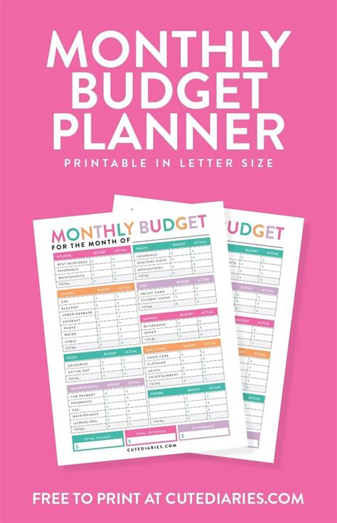 monthly budget planner cute diaries   budget planner monthly