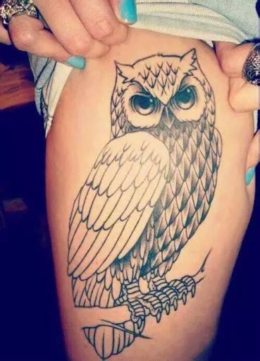 Hình xăm chữ ngực đẹp nữ. 50 hình xăm chim cú mèo (Owl tattoo) đẹp cực kỳ ấn tượng ...