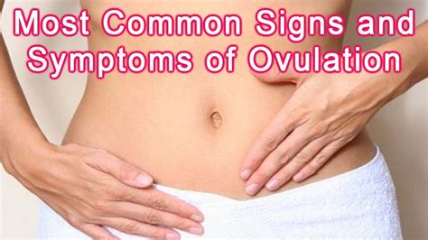 Signs Of Ovulation Most Common Signs And Symptoms Of Ovulation Youtube