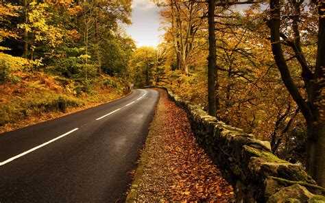 Autumn Road Wallpaper 2560x1600
