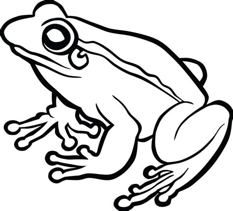Frog Drawing Archives How To Draw