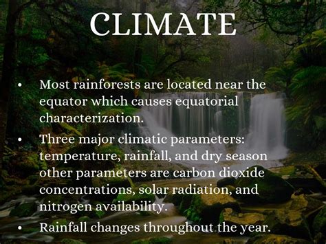 State the location of the two different types of rainforests. Copy of The Tropical rainforest by clarapotter69
