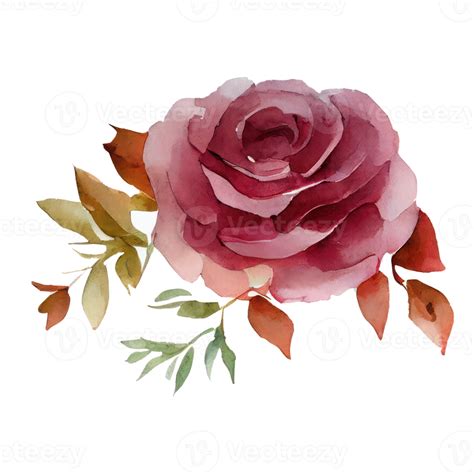 Free Illustration Of Watercolor Roses 22505476 Png With Transparent