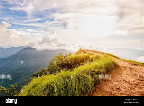 Phu Chi Fa Forest Park At Sunset Thailand Stock Photo Alamy