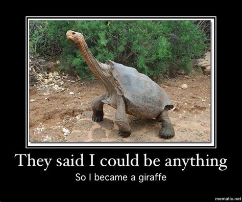 Gather The Awesome Super Duper Funny Animal Memes Clean Hilarious