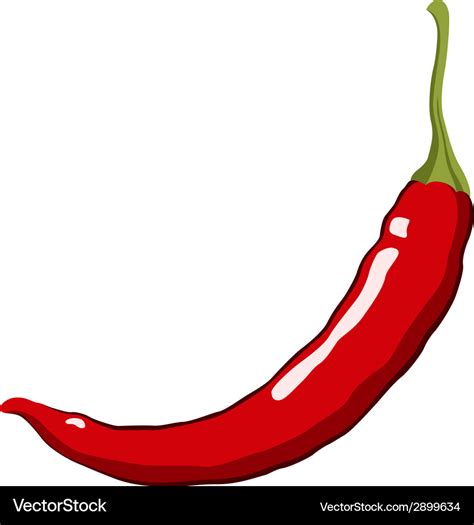 Red Hot Chili Pepper Royalty Free Vector Image