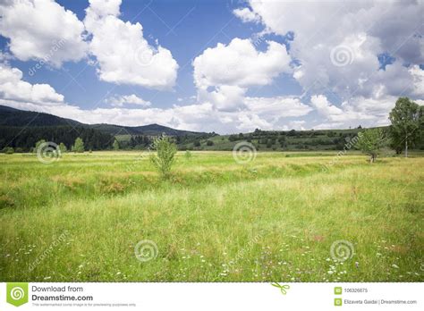 Countryside Landscape With Meadows Overgrown With Green Grass Stock