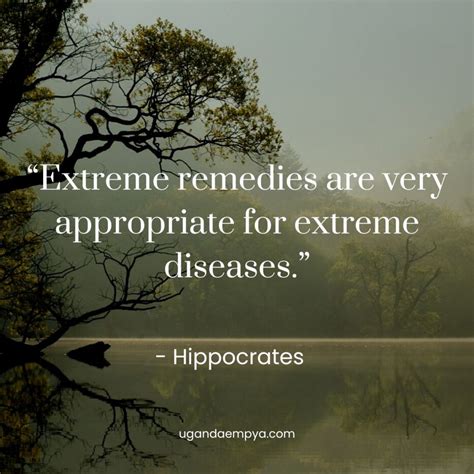 56 hippocrates quotes on self healing and medicine