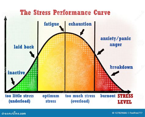 Stress Performance Curve Visual Chart Stock Illustration Illustration