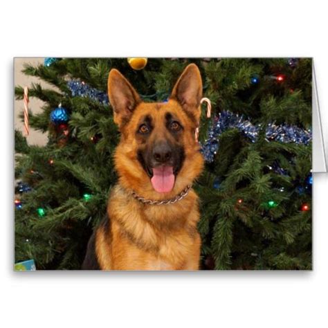 Check spelling or type a new query. German Shepherd Christmas Card | German shepherd christmas ...