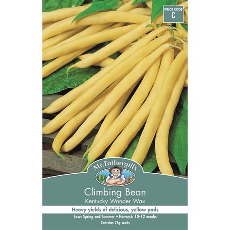 Especially productive in cooler climates. Mr Fothergill's Climbing Bean Kentucky Wonder Wax ...