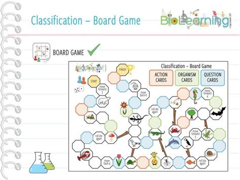 Classification Board Game Ks2 Ks3 Teaching Resources