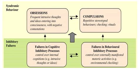 Jcm Free Full Text An Integrative Model For Understanding Obsessive Compulsive Disorder