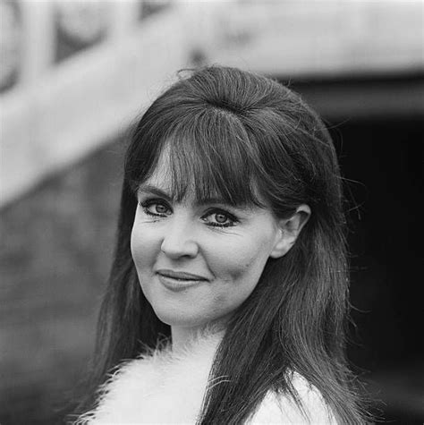 Pauline Collins Pictures Getty Images Pauline Collins English