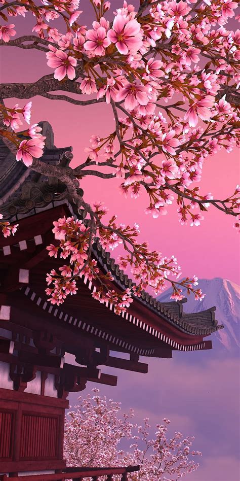 Japanese Sakura Tree Mobile Scenery Landscape Anime Scenery