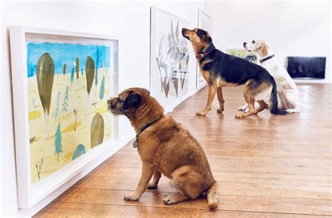 Worlds First Art Exhibition For Dogs Features Fountains Fans And Cars