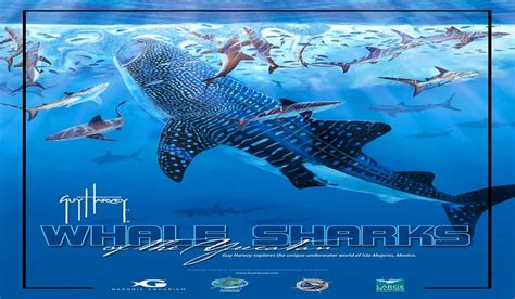 South Florida Premier Of Guy Harveys Documentary Whale Sharks Of The