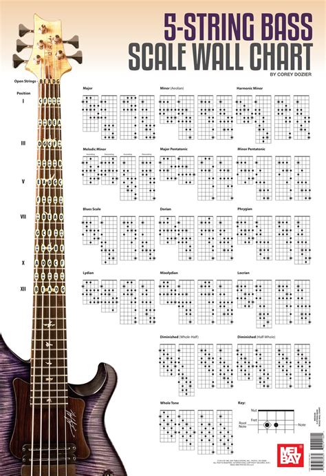 5 String Bass Fretboard Chart