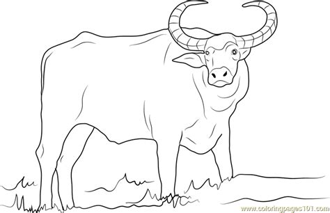 Download printable buffalo coloring pages to print for free. Domestic Asian Water Buffalo Coloring Page - Free Buffalo ...