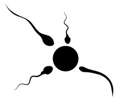 sperm silhouette sperm svg sperm png sperm cricut sperm etsy australia