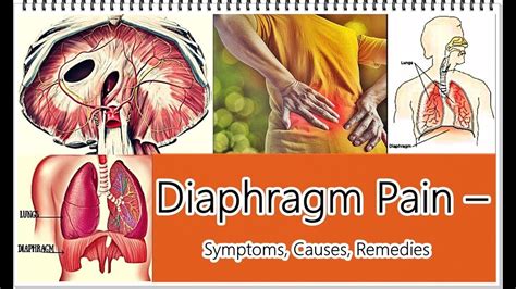 Diaphragm Pain Symptoms Causes Remedies Youtube