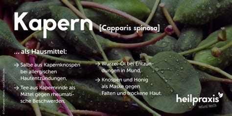 Kapern gesund und anregend Heilpraxis