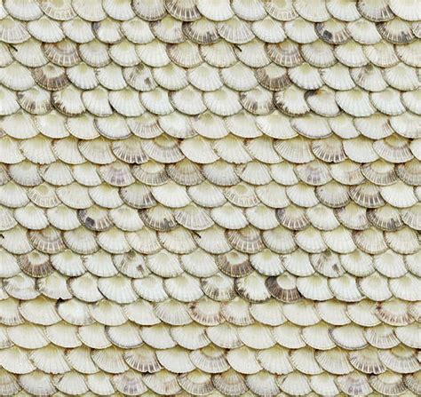 Rooftilesother0005 Free Background Texture Rooftiles Shells
