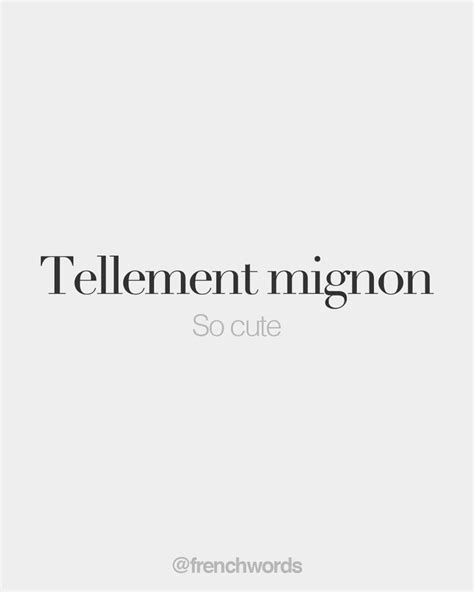 Tellement Mignon Masculine So Cute Tɛlmɑ̃ Miɲɔ̃ French