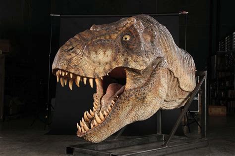 Pictures Of Jurassic Park Male T Rex Animatronic Highly Detailed — Stan