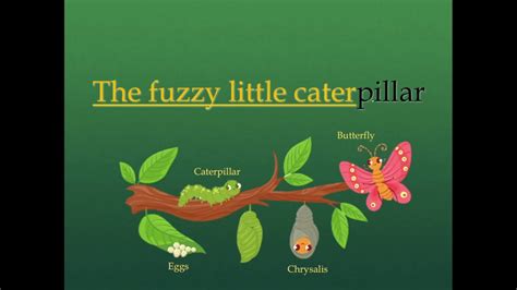 The Fuzzy Little Caterpillar Poem Youtube