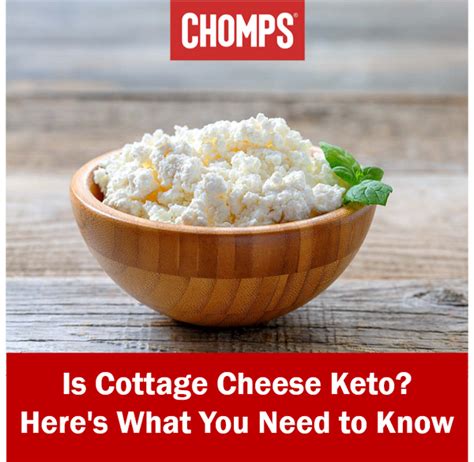 Is Cottage Cheese Keto Keto For Beginners Chomps