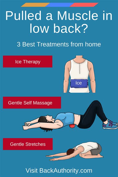 Pulled Muscle In Lower Back Best Treatments And Exercsies Lower Back