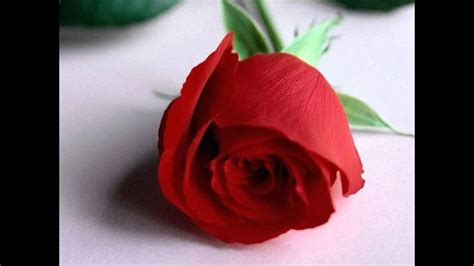 Bharat (govinda) lives happily with his parents dashrath (prem chopra) and durga (aruna irani). Mehfil Taan Sajdi Full Song (HD) - Beti No.1 - YouTube