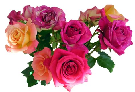 Bunch of flowers png collections download alot of images for bunch of flowers download free with high quality for designers. Bouquet Of Flowers PNG Image - PurePNG | Free transparent ...