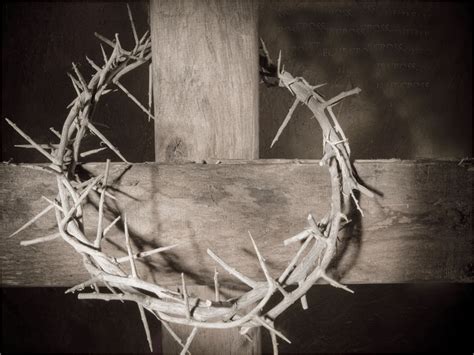 Why Jesus Wore Our Crown Of Thorns Comfort Encouragement