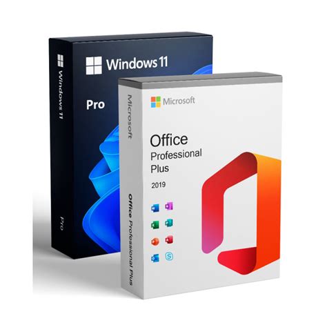 Bundle Microsoft Office 2021 Professional Plus Windows 11 Pro