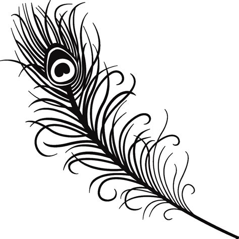 Curved Feather Drawing Free Download On Clipartmag