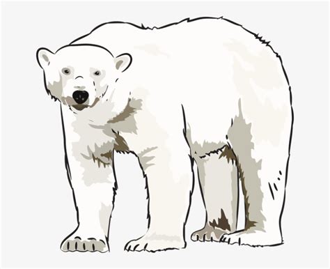 Art Polar Bear Clipart Kid Art Free Transparent Png Download Pngkey
