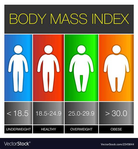 body mass index infographic icons royalty free vector image