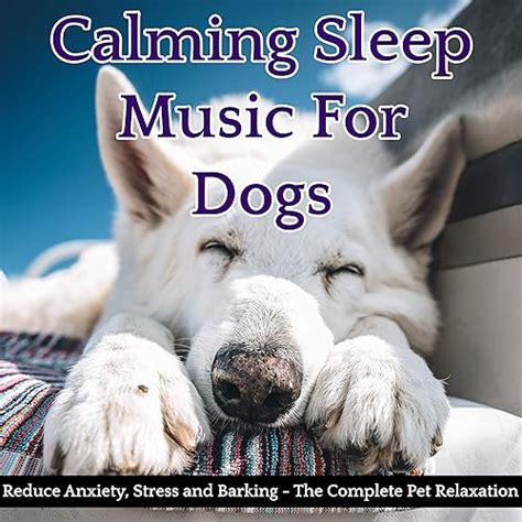 Calming Sleep Music For Dog Reduce Anxiety Stress And Barking The